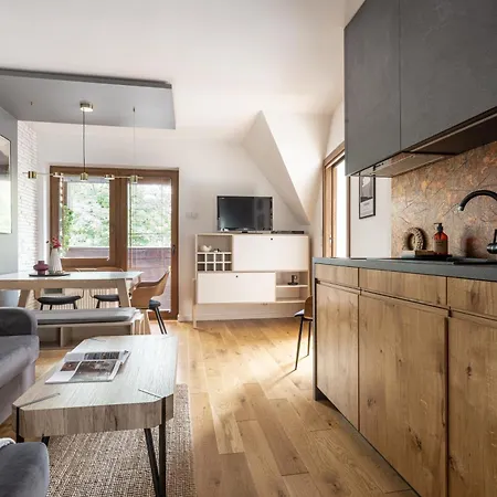 Apartamenty Pod Dachem W Centrum Apartzakop Zakopane Exteriér fotografie