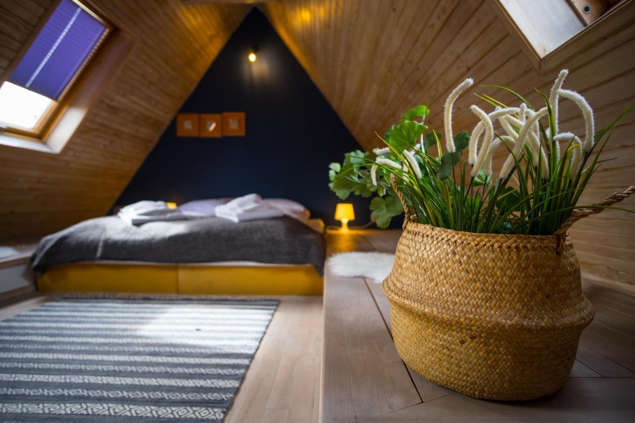 Pod Dachem W Centrum Apartzakop *